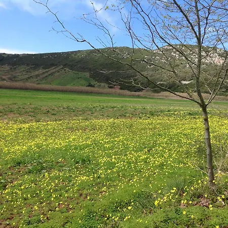 Gospodarstwo wiejskie Casas Do Vimeiro