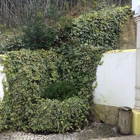 Casas Do Vimeiro Maçeira